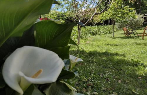 Il Canto degli Uccelli - Foto 29