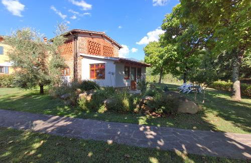 Fattoria Antognoni - Foto 78