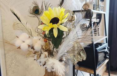 La parenthèse Normande- Balnéo - Vidéo projecteur - Foto 22