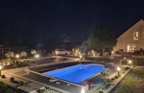 Vigor Horses - Foto 31