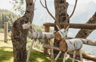 Chalets d alpage 5 étoiles la chabane - Foto 44