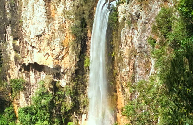 Escursione al Parco Nazionale Springbrook + Avvistamento di canguri - Foto 2