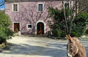 azienda agrituristica la torretta - Foto 4