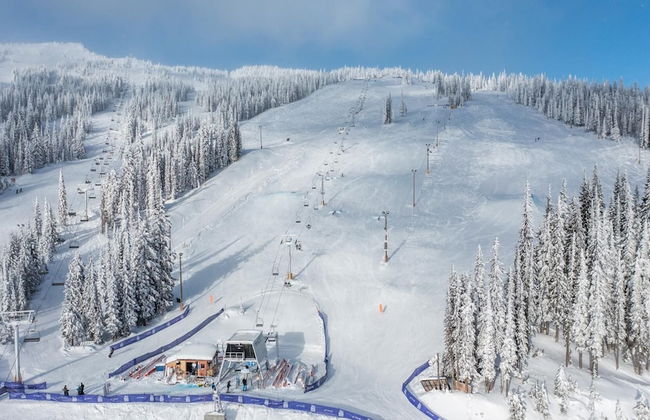 I Spy - Cozy Pet Friendly, Ski In/Ski Out Condo with Private Hot Tub - Photo 15