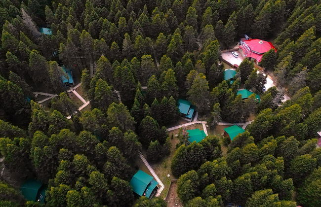 Karinna Forest Houses - Foto 46