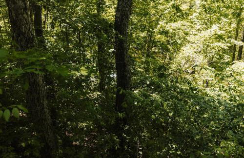 Little blue house on the lake - Photo 39