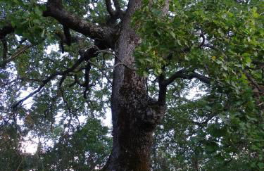 HOME L'UPUPA AMIATA - Foto 37