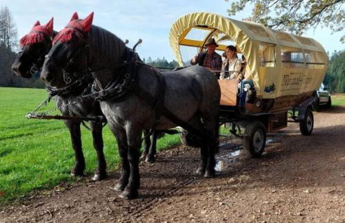Schweizerblick - Denkmalgeschützes Haus in ruhiger Lage - großer Garten und mit Charme eingerichtet - ideal für Familien, Paare & Hund - Foto 47