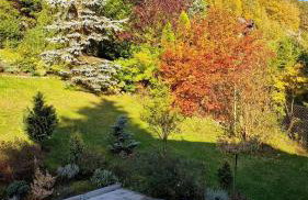 Domek Koziołek przy szlaku, Szyndzielnia, Klimczok, Szczyrk, Bania - Foto 48