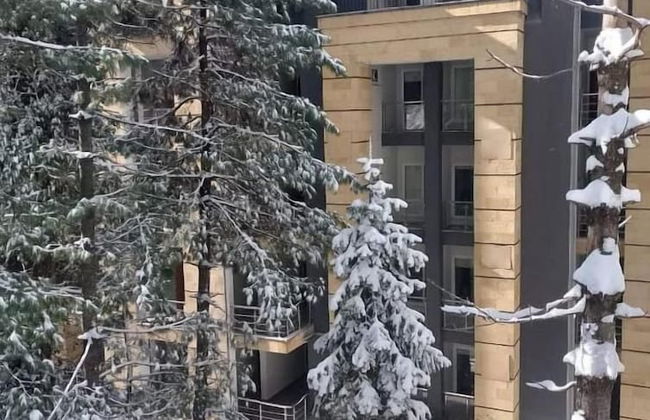 Bellevue Luxury Apartments - Photo 13