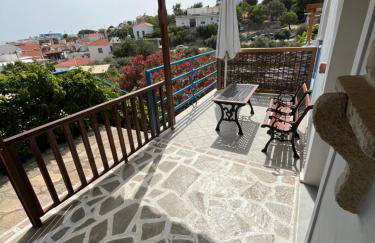 Pantheon Apartments & Studios - Photo 152