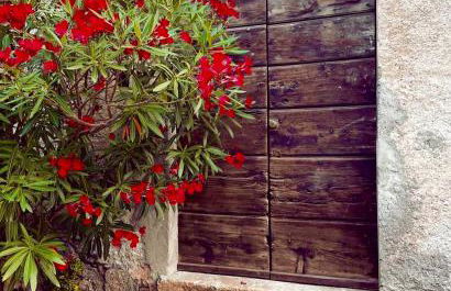 Agriturismo La Vecchia Chioderia - Foto 26