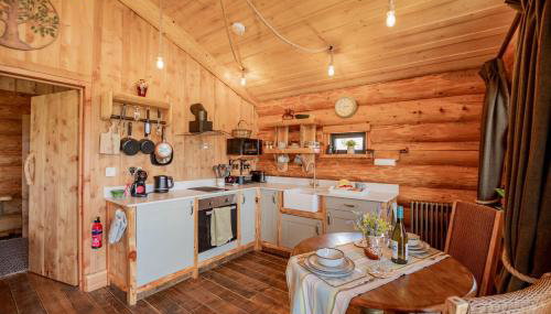 Chestnut - Tedstone Log Cabins - Foto 5