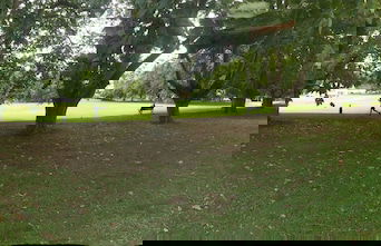 Swiss-Belsuites Victoria Park Auckland - Foto 43