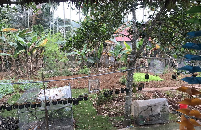 Bee Lucky Homestay - Photo 40