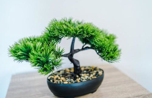 The Acacia Lodge - Beautiful & Modern 3-BR with FREE Parking - Perfect For Business or Work Stays by Parydise Properties - Foto 38