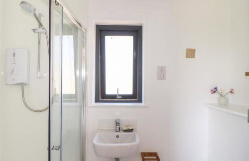 Little Pip - Foto 18