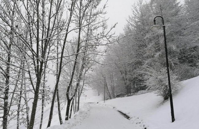 Belvilla by OYO Negritella Quadri Sette - Foto 38