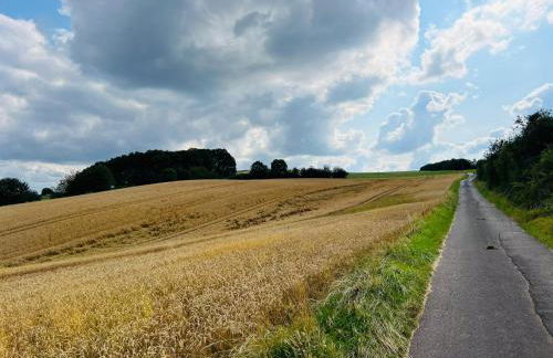 Ferienwohnung in der schönen Eifel! - Photo 13