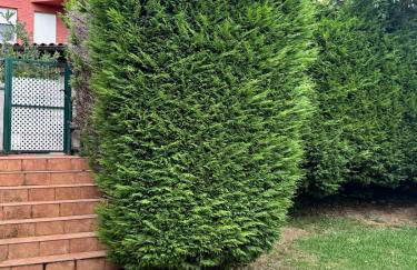 Fabuloso Bajo con Jardines - Foto 26