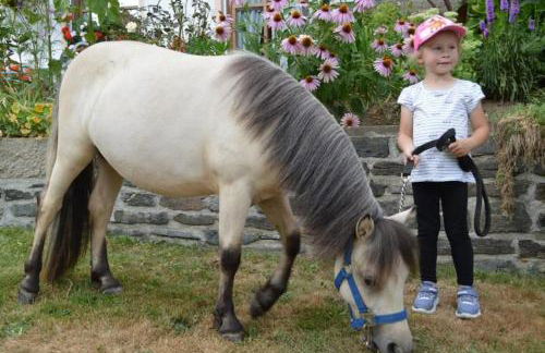 Ferienhof Altmann - Foto 40