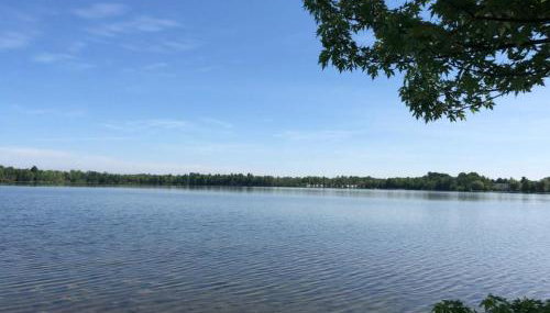 The Dragonfly - Foto 5