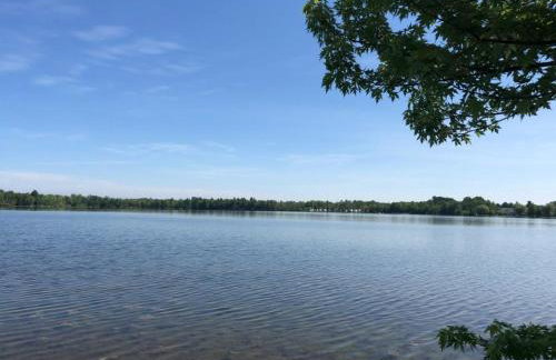 The Dragonfly - Foto 5