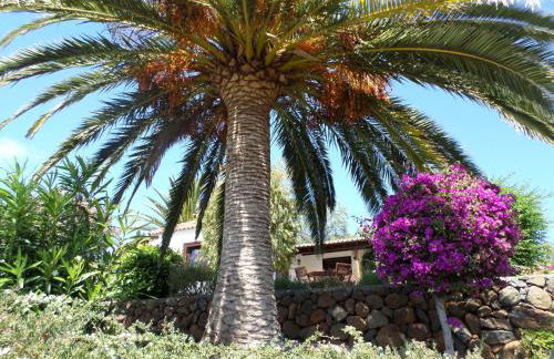 Casa Naranjo - Foto 13