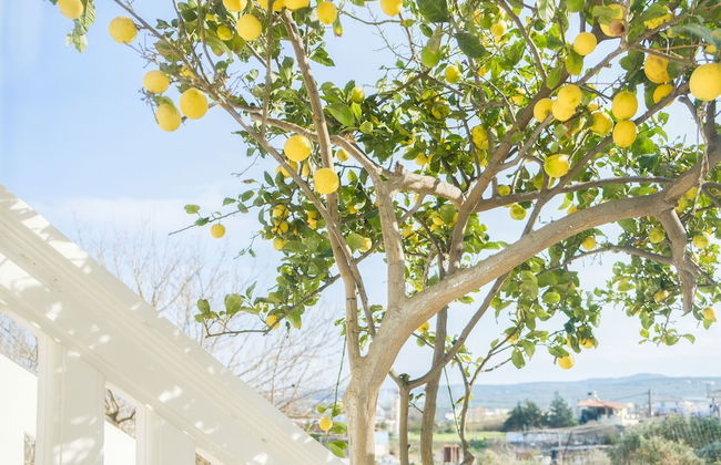 NeSo - Peter's Flat steps to Beach with Great Views - Foto 24