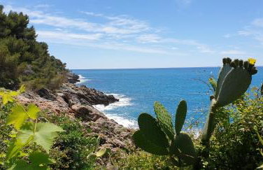 Les Caroubiers - Photo 36