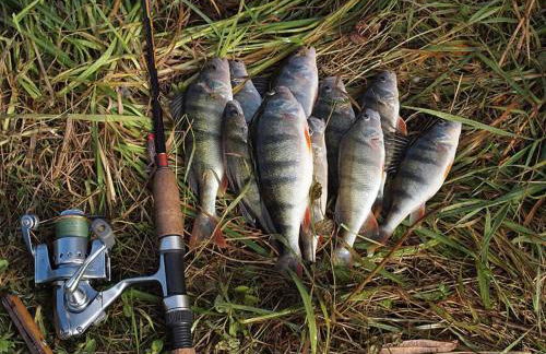 The Winkler Family - Foto 23