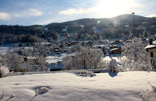appartement 103m2 près de Megève, face à télécabine la Princesse,2 chambres , garage, local à ski - Foto 42
