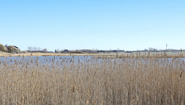 4 Star Holiday Home in Martofte - Foto 2