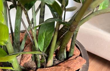 Apto ao lado do Shopping Caruaru próximo ao pátio unidade 302 - Foto 28