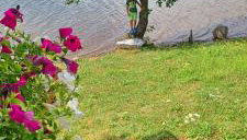 Aurora on the lake - Foto 1