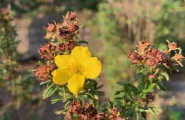 Ferienhaus Elbufer 83 - Foto 17