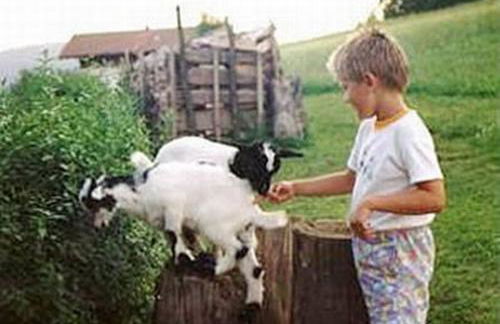 Haus Bergblick Bay. Wald - Foto 14