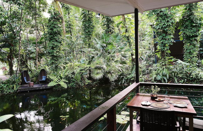 Daintree Ecolodge - Photo 41