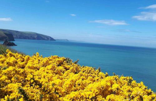 Charming coastal cottage - pet friendly! - Photo 54