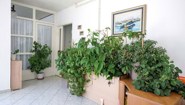 Apartments Nostro Palazzo - Foto 2, Entrada interior