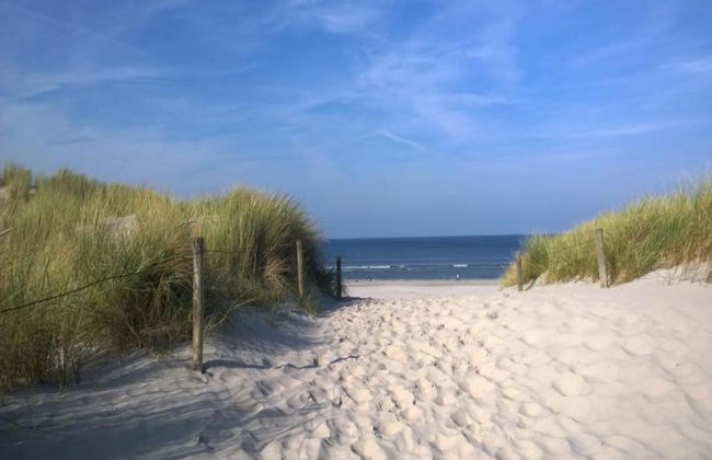 Bungalow in Nes on Ameland With Spacious Terrace - Foto 38