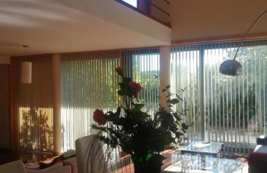 Single House - Foto 10