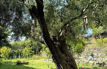 Sunrise View House Halkidiki! - Foto 21