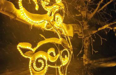 Beskidzka Ostoja - Foto 42