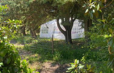 Quinta Cunte - Casa Girassol - Foto 33