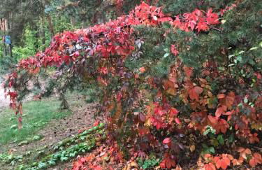 Ferienwohnung Kluge - Foto 28