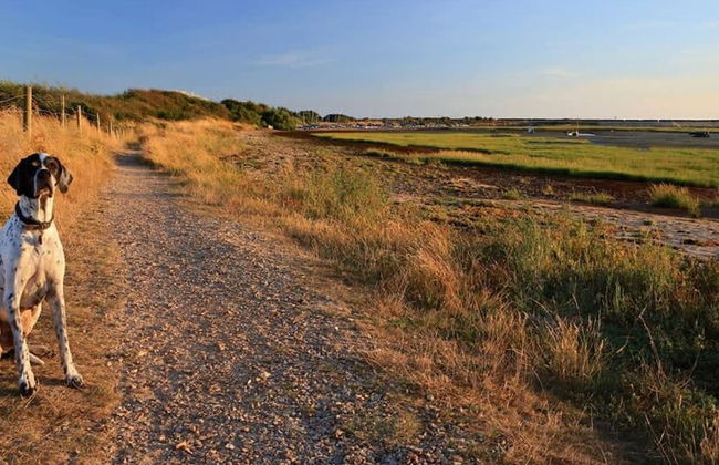 Coastal Retreat for 8 With Hot Tub - Walk to Beach - Foto 54