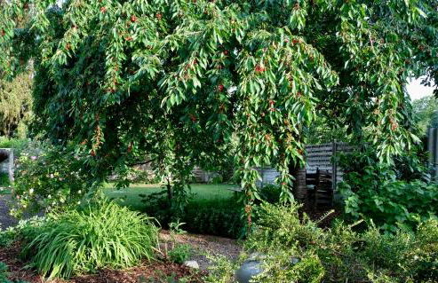Ferienwohnung in charmantem Fachwerkhaus - Foto 20