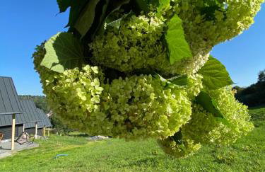 elements - Solina, z sauną - Foto 16