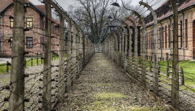 Auschwitz-Birkenau Private Day Trip - Foto 4
